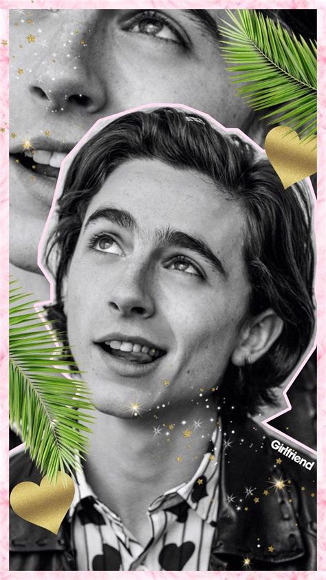 Timothee Chalamet Aesthetic Pictures | Images and Photos finder