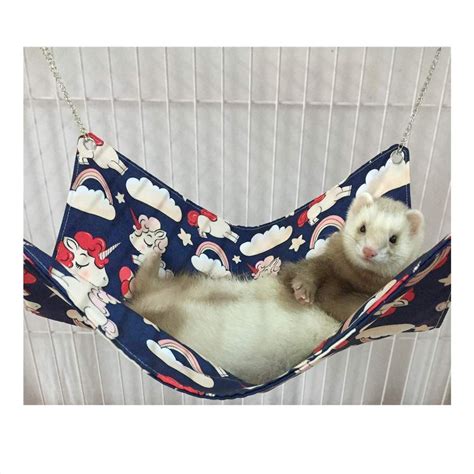 a ferret in a hammock hanging upside down