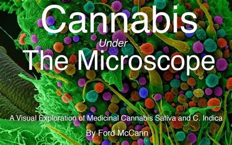 Cannabis under the microscope: up close and personal