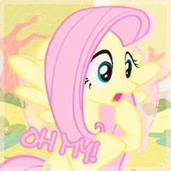 fluttershy gif on Tumblr