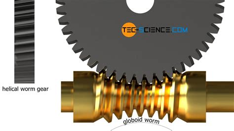 Worms and worm gears | tec-science