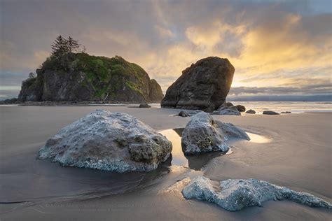 Ruby Beach Olympic National Park - Alan Majchrowicz Photography