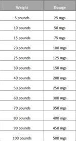 Human Amoxicillin For Dogs Dosage - What You Need To Know! (2024) - We ...