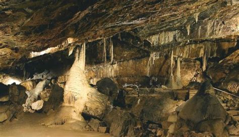 Mitchelstown Cave (Burncourt) - 2019 All You Need to Know BEFORE You Go (with Photos) - TripAdvisor