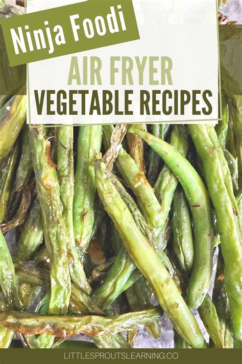 Ninja Foodi Air Fryer Vegetable Recipes