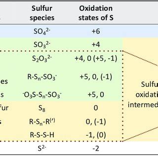 Selected sulfur compounds and their oxidation states (values in ...