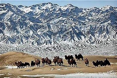 Gobi Desert: Climate of Gobi Desert