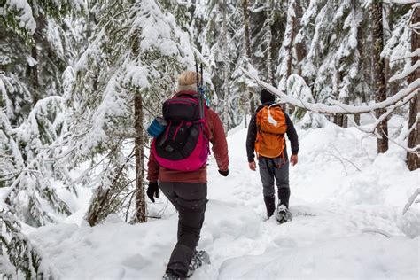 Savage River State Forest: #1 Best Spot for Snowshoeing