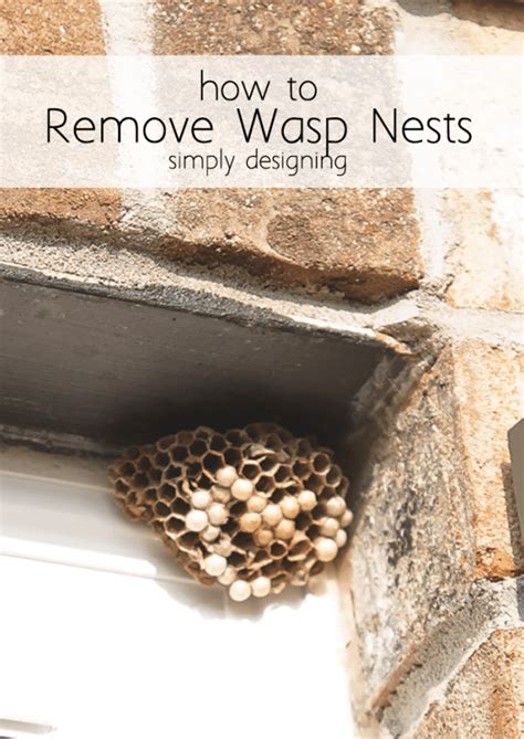 How Much To Remove Wasp Nest - What Happen World?