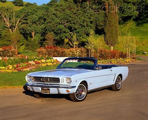 1964 Baby Blue Ford Mustang Convertible! This is it...my dream car! | Mustang, Auto, Mustang cobra