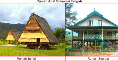 Rumah Adat Sulawesi Tengah Lengkap, Gambar dan Penjelasannya - Seni Budayaku