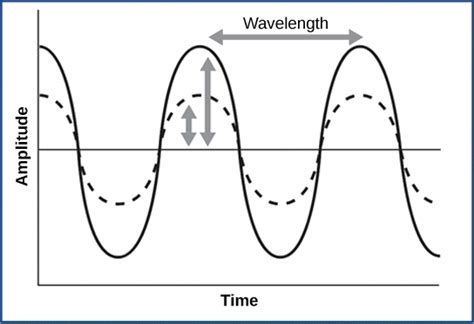 Sound and Reception | Biology for Majors II