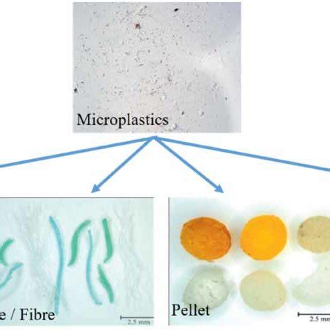 (PDF) Removal of microplastics from wastewater: available techniques and way forward