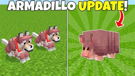 Mojang Released The ARMADILLO & DOG ARMOR! Minecraft Bedrock Beta 1.20.60.23 - YouTube