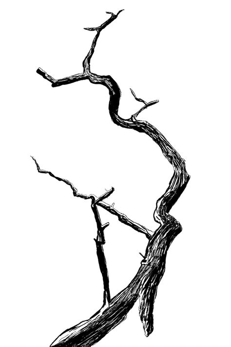 a black and white drawing of a tree branch