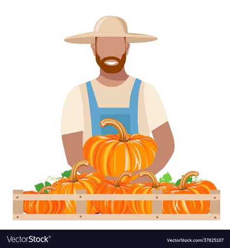 Harvest Royalty Free Vector Image - VectorStock