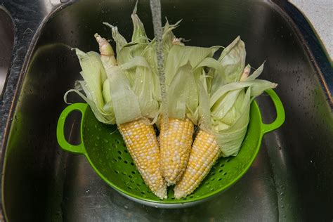 How to Freeze Corn on the Cob Without Blanching | Freeze corn on the cob, Frozen corn, Cook corn ...