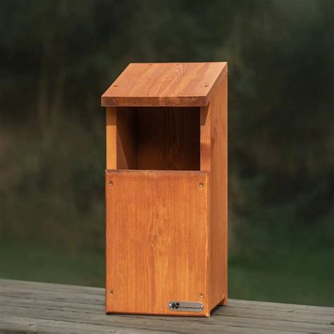 Riverside Woodcraft Owl Box with Camera – RiversideWoodcraft