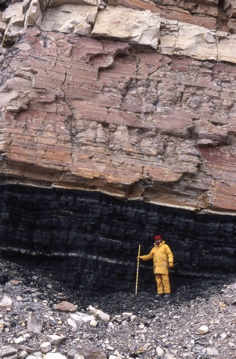 Outcrop of a coal seam in Antarctica [r/HumanForScale] : geology