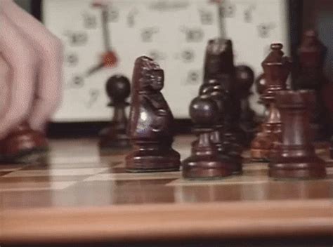 Page 7 for Chess GIFs - Primo GIF - Latest Animated GIFs