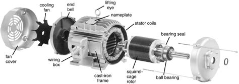 Three Phase Induction Motor Construction | Electrical Academia