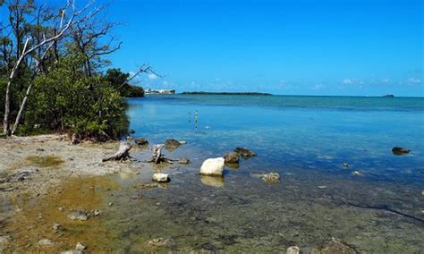 Tavernier, FL 2024: Best Places to Visit - Tripadvisor