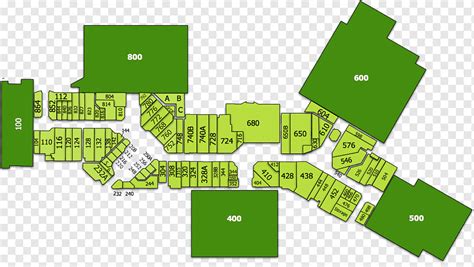 Marca verde, mapa anatómico de reparación del dolor de muelas., ángulo, texto, plan png | PNGWing