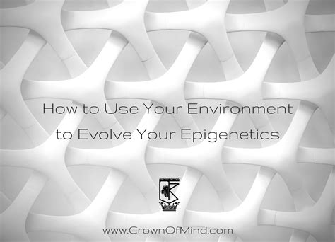 How to Use Your Environment to Evolve Your Epigenetics - CrownOfMind.Com