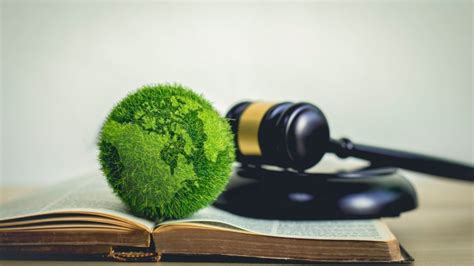 Experts explain: environmental law and regulation