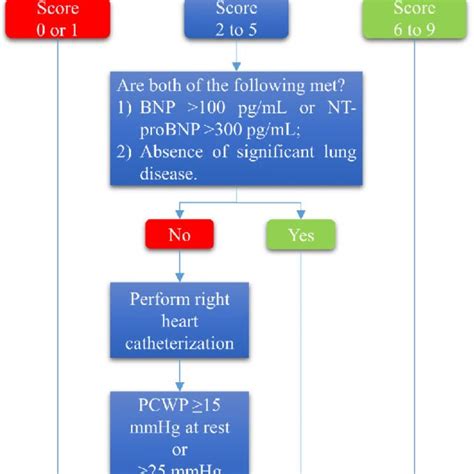 Approach to diagnosis of heart failure with preserved ejection fraction... | Download Scientific ...