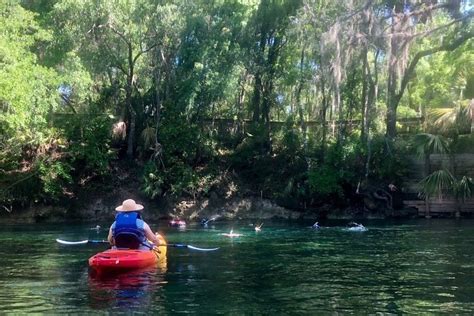 Wekiva River Guided Kayak Tour: Triphobo