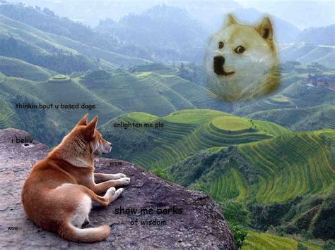 Doge Meme Wallpaper - WallpaperSafari