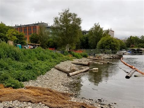 Environmental Remediation for New Portage Bay Park | MFA