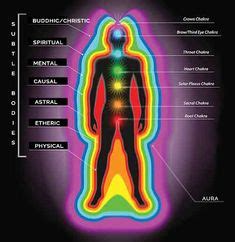 Understand Your Seven Main Chakras in 2021 | Etheric body, Subtle, Body ...