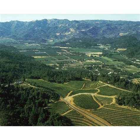 Aerial view of vineyards in Napa Valley California USA Canvas Art - Panoramic Images (22 x 27 ...