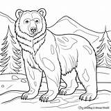 Brown Bear Coloring Pages  Free & Printable sketch template