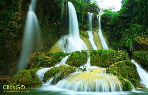 Kinh nghiệm du lịch Mộc Châu | Beautiful waterfalls, Waterfall, Vietnam