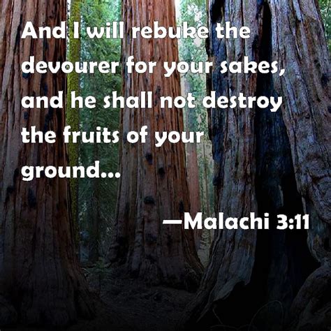 Malachi 3:11 And I will rebuke the devourer for your sakes, and he shall not destroy the fruits ...