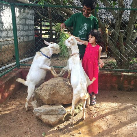 B'luru Man Rescues Animals, Builds Habitat Classrooms For Kids!