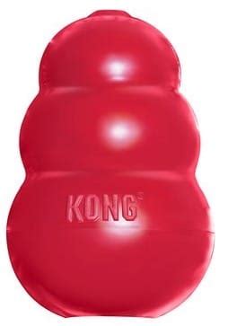 Why Are Kong Toys Good For Dogs