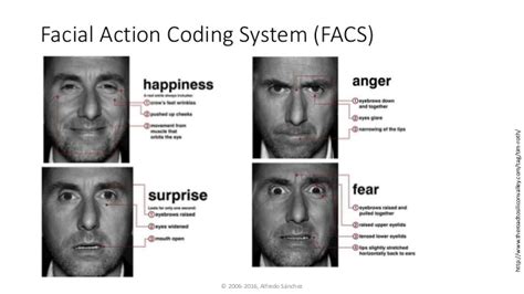 Facial Action Coding System Pdf - contentpdf