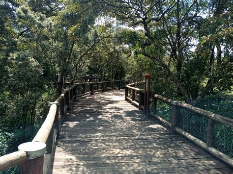 Hike 021: Nairobi Safari Walk – Hiking Adventures