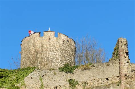 Alsace Castles and Vineyards Afternoon Half Day Tour - Klook