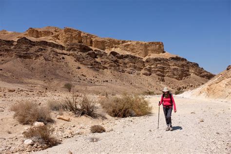 Hiking in Negev desert. stock image. Image of ridge - 103515609