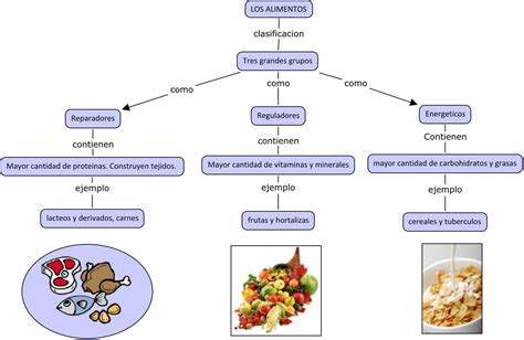 Organizador Visual Sobre Los Tipos De Nutrientes Que Se Encuentra En – Theme Route