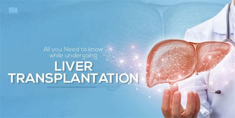 All you Need to know while undergoing Liver Transplantation