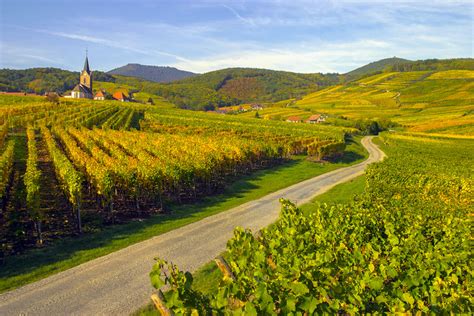 Dégustations sur la route des vins d'Alsace | Wine Tour Alsace