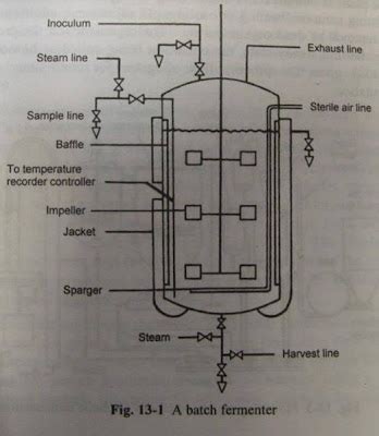 Fermentation technology: The Fermenter -Design and Engineering aspects