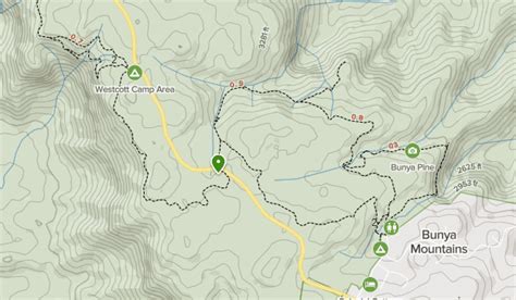 Bunya Mountains National Park | List | AllTrails