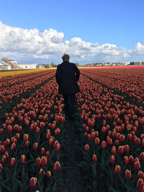 It's tulip season in Amsterdam : r/pics